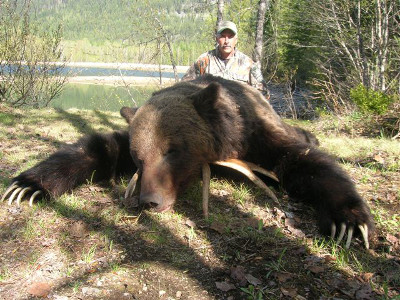 Grizzly hunt